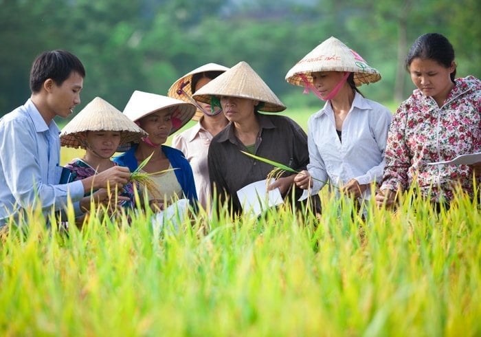 SPMF đưa ra một cách tiếp cận mới nhằm hỗ trợ quá trình chuyển đổi hệ thống nông nghiệp của các nước. Ảnh: Croplife Việt Nam.