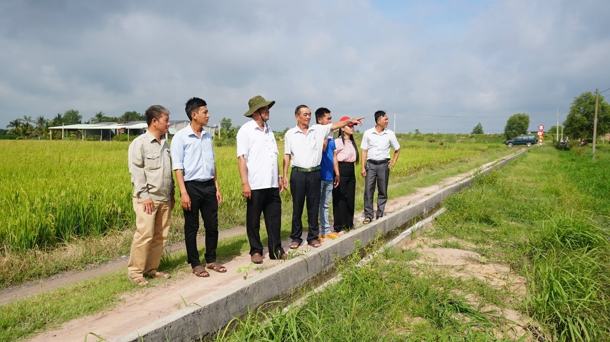 Ông Trương Đạt Tấn Lợi (thứ 3 từ trái sang) kiểm tra sử dụng nước và công tác bảo vệ công trình thủy lợi của các thủy nông cơ sở. Ảnh: Trần Trung.