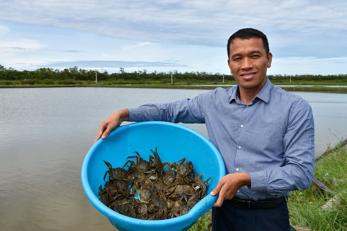 Anh Trần Văn Vân bên những con cua lông nuôi được 5 tháng. Ảnh: Dương Đình Tường. Anh Trần Văn Vân bên những con cua lông nuôi được 5 tháng. Ảnh: Dương Đình Tường.
