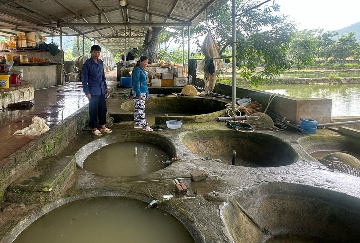 Nhiều hộ dân tại xã Cốc San và các xã lân cận thường xuyên đến học tập mô hình nuôi cá của bà Chắp. Ảnh: Bích Hợp. Nhiều hộ dân tại xã Cốc San và các xã lân cận thường xuyên đến học tập mô hình nuôi cá của bà Chắp. Ảnh: Bích Hợp.