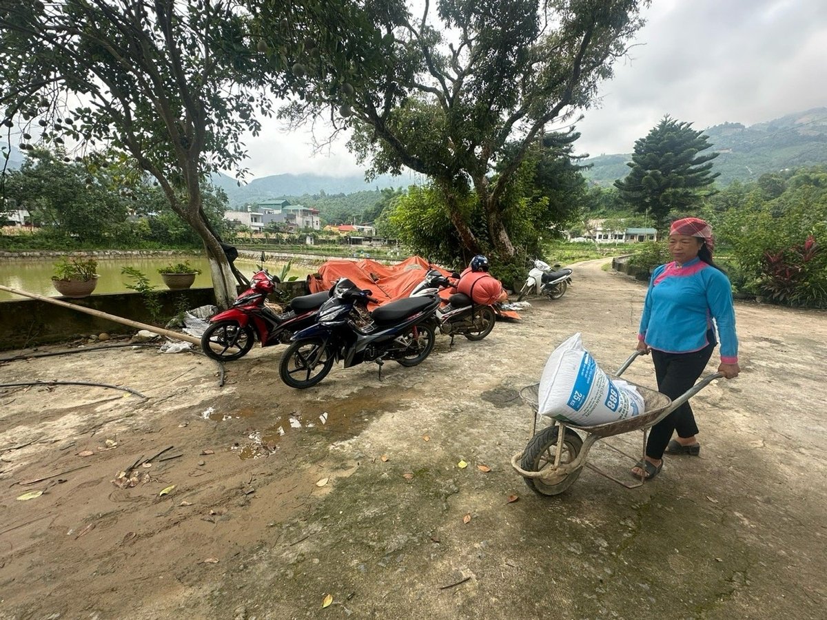 Bà Hoàng Thị Chắp - người phụ nữ dân tộc Giáy làm chủ mô hình sản xuất cá giống cho thu nhập hàng tỷ đồng mỗi năm. Ảnh: Bích Hợp. Bà Hoàng Thị Chắp - người phụ nữ dân tộc Giáy làm chủ mô hình sản xuất cá giống cho thu nhập hàng tỷ đồng mỗi năm. Ảnh: Bích Hợp.