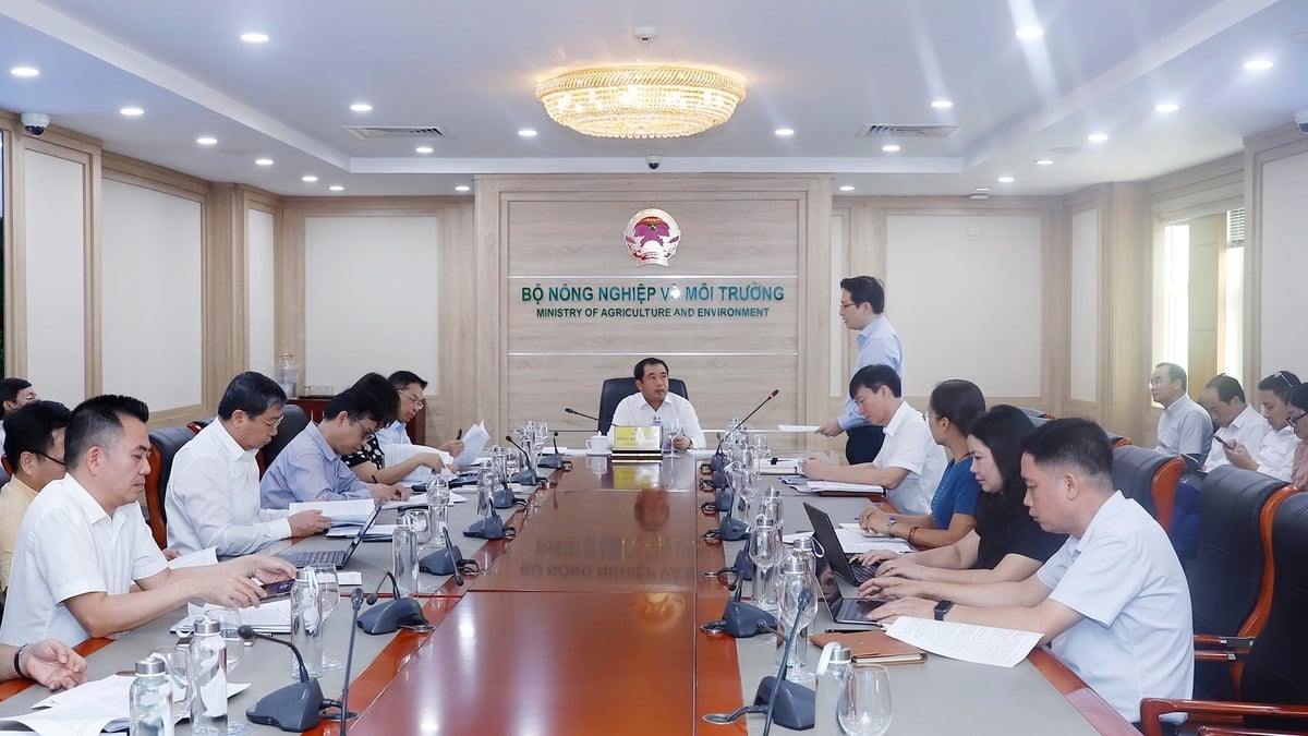 Vụ trưởng Vụ Pháp chế Bộ Nông nghiệp và Môi trường Phan Tuấn Hùng báo cáo tại cuộc họp. Ảnh: Khương Trung. Vụ trưởng Vụ Pháp chế Bộ Nông nghiệp và Môi trường Phan Tuấn Hùng báo cáo tại cuộc họp. Ảnh: Khương Trung.