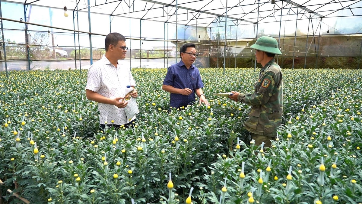 Ông Lại Thế Hưng (giữa), Phó Chủ tịch Hiệp hội Hoa Đà Lạt, trao đổi với nông dân về sử dụng thuốc BVTV '4 đúng'. Ảnh: Croplife Việt Nam.