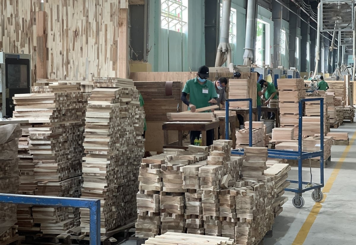 The People's Committee of Gia Lai Province has implemented an action plan to adapt to the European Union's anti-deforestation regulation, aiming to remove difficulties for exported wood processing enterprises. Photo: Dinh Thung.
