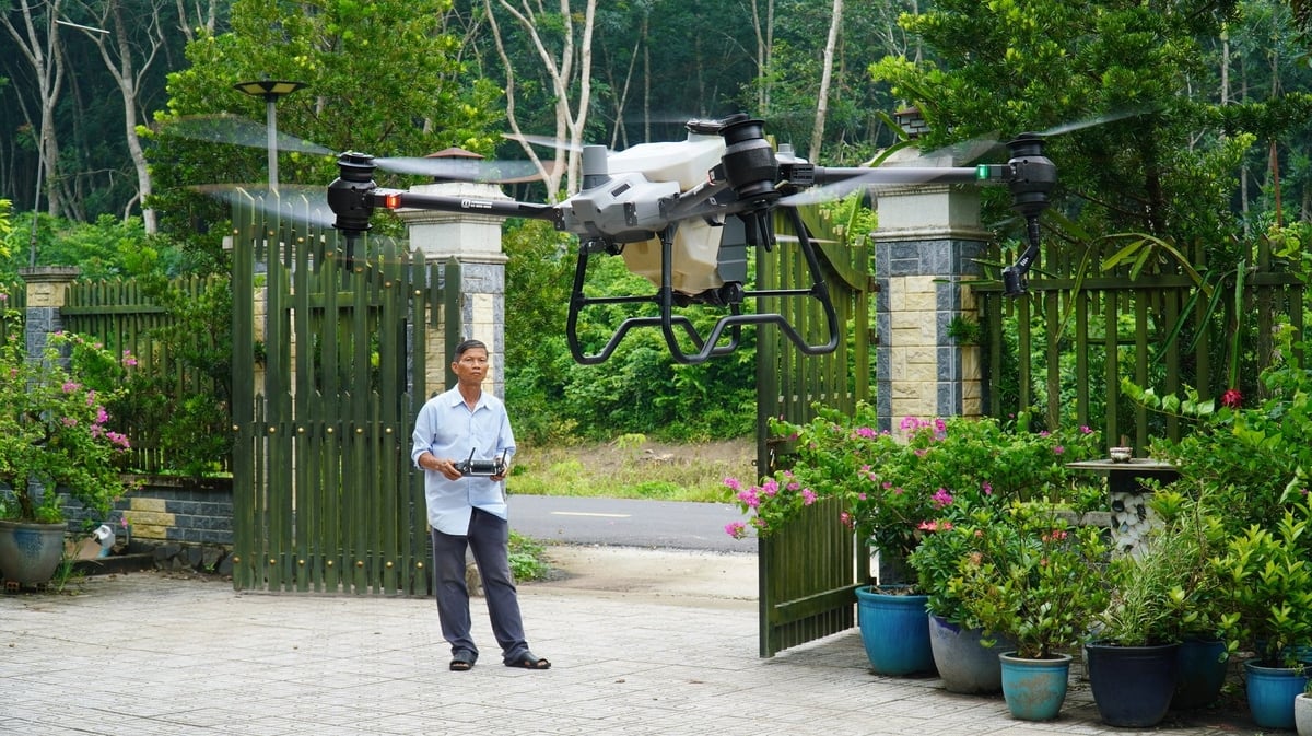 Mỗi lần bấm nút điều khiển máy bay phun thuốc, nông dân hiểu rõ cây cần gì, cần lúc nào. Ảnh: Trần Phi.