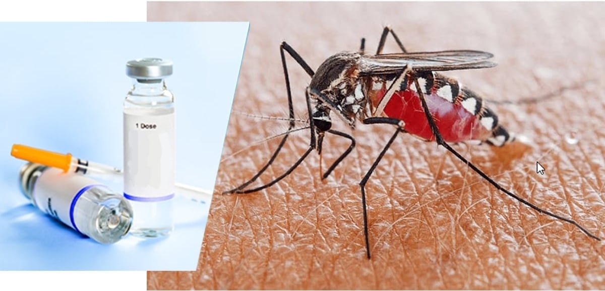 UBND TP Hà Nội chỉ đạo các Sở, ban, ngành và UBND các phường, xã tăng cường công tác phòng, chống dịch sốt xuất huyết. Ảnh: Nguyễn Hà.