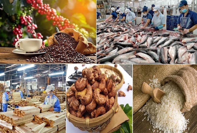 6 tháng đầu năm 2025, xuất siêu nông lâm thủy sản của Việt Nam đạt gần 10 tỷ USD, lập kỷ lục và vượt kỳ vọng. Ảnh: M Phúc. 6 tháng đầu năm 2025, xuất siêu nông lâm thủy sản của Việt Nam đạt gần 10 tỷ USD, lập kỷ lục và vượt kỳ vọng. Ảnh: M Phúc.