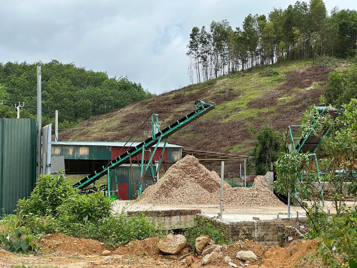 Xưởng băm keo vi phạm sử dụng đất tại thôn Đồng Tâm. Ảnh: Phú Thắng.