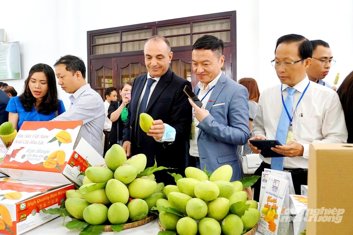 Đồng Tháp đang đẩy mạnh xúc tiến thương mại, kết nối tiêu thụ nông sản. Ảnh: Lê Hoàng Vũ. Đồng Tháp đang đẩy mạnh xúc tiến thương mại, kết nối tiêu thụ nông sản. Ảnh: Lê Hoàng Vũ.