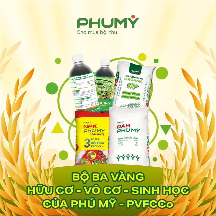 'Bộ ba vàng' của phân bón Phú Mỹ vừa ra mắt. Ảnh: Đình Khôi.