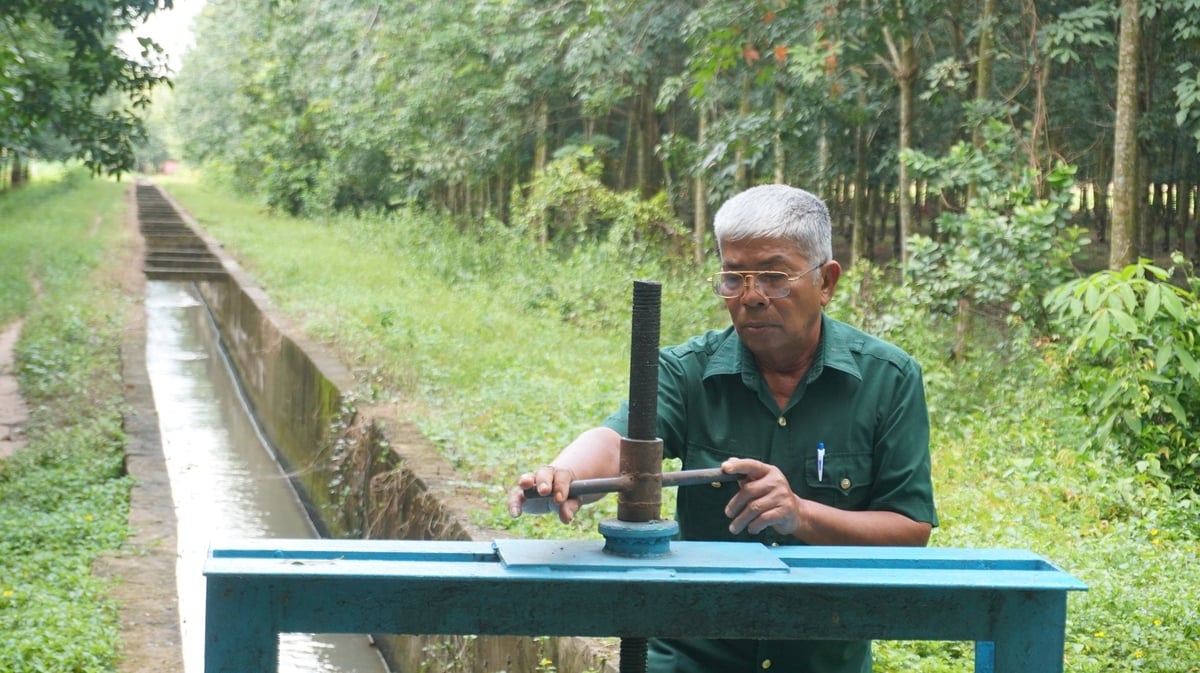 Ông Đinh Văn Bé điều tiết nước phục vụ bà con trong khu vực tổ thủy nông của ông quản lý. Ảnh: Trần Trung. Ông Đinh Văn Bé điều tiết nước phục vụ bà con trong khu vực tổ thủy nông của ông quản lý. Ảnh: Trần Trung.