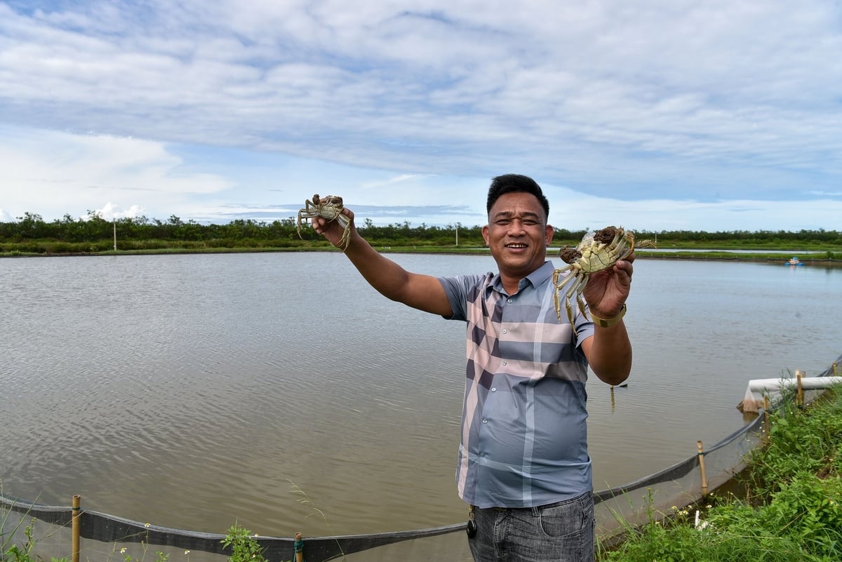 Khách tới thăm trang trại nuôi cà ra của anh Trần Văn Vân ở Tiền Hải, tỉnh Hưng Yên. Ảnh: Dương Đình Tường. Khách tới thăm trang trại nuôi cà ra của anh Trần Văn Vân ở Tiền Hải, tỉnh Hưng Yên. Ảnh: Dương Đình Tường.