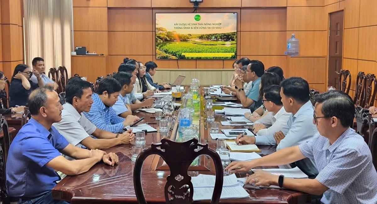 Công ty TNHH Hữu cơ Toàn Cầu làm việc với đại diện các sở, ngành tỉnh Cà Mau. Ảnh: Võ Hà.