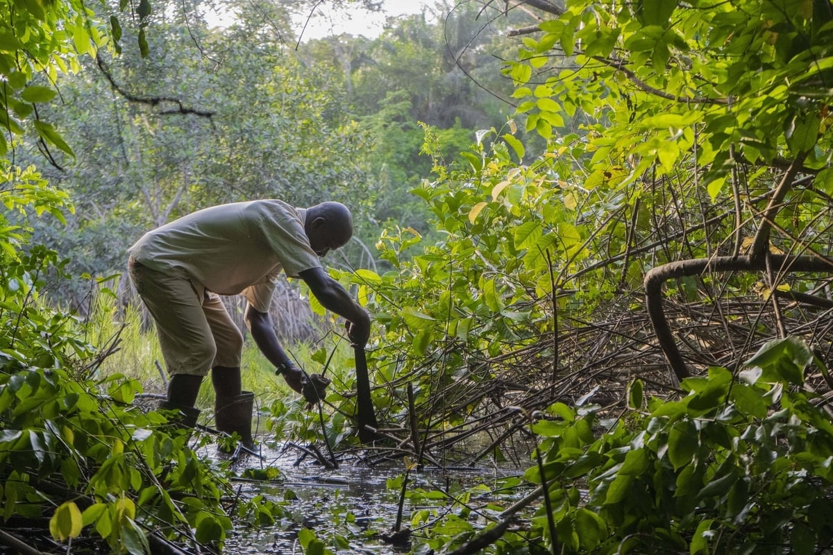 UNDP đang đẩy mạnh hỗ trợ các doanh nghiệp vừa và nhỏ tại châu Phi nhằm giúp họ nâng cao khả năng chống chịu khí hậu. Ảnh: UNDP. UNDP đang đẩy mạnh hỗ trợ các doanh nghiệp vừa và nhỏ tại châu Phi nhằm giúp họ nâng cao khả năng chống chịu khí hậu. Ảnh: UNDP.