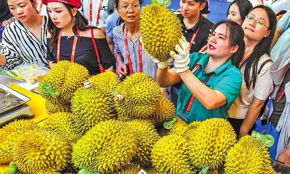 Vietnamese durians are among the most popular products in Nanning City, Guangxi. Photo: China Daily.