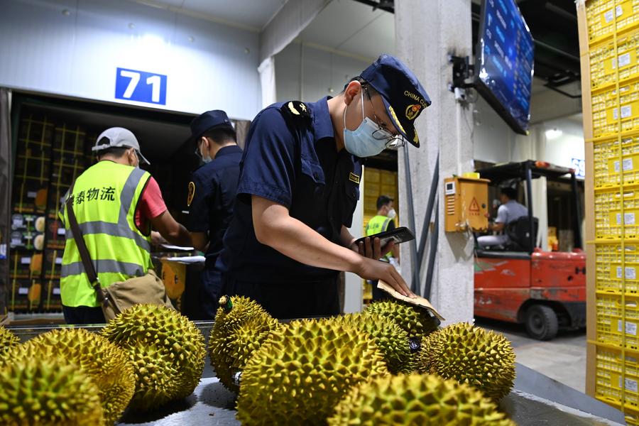 Customs officers inspect imported durians in Pingxiang. Photo: Xinhua.