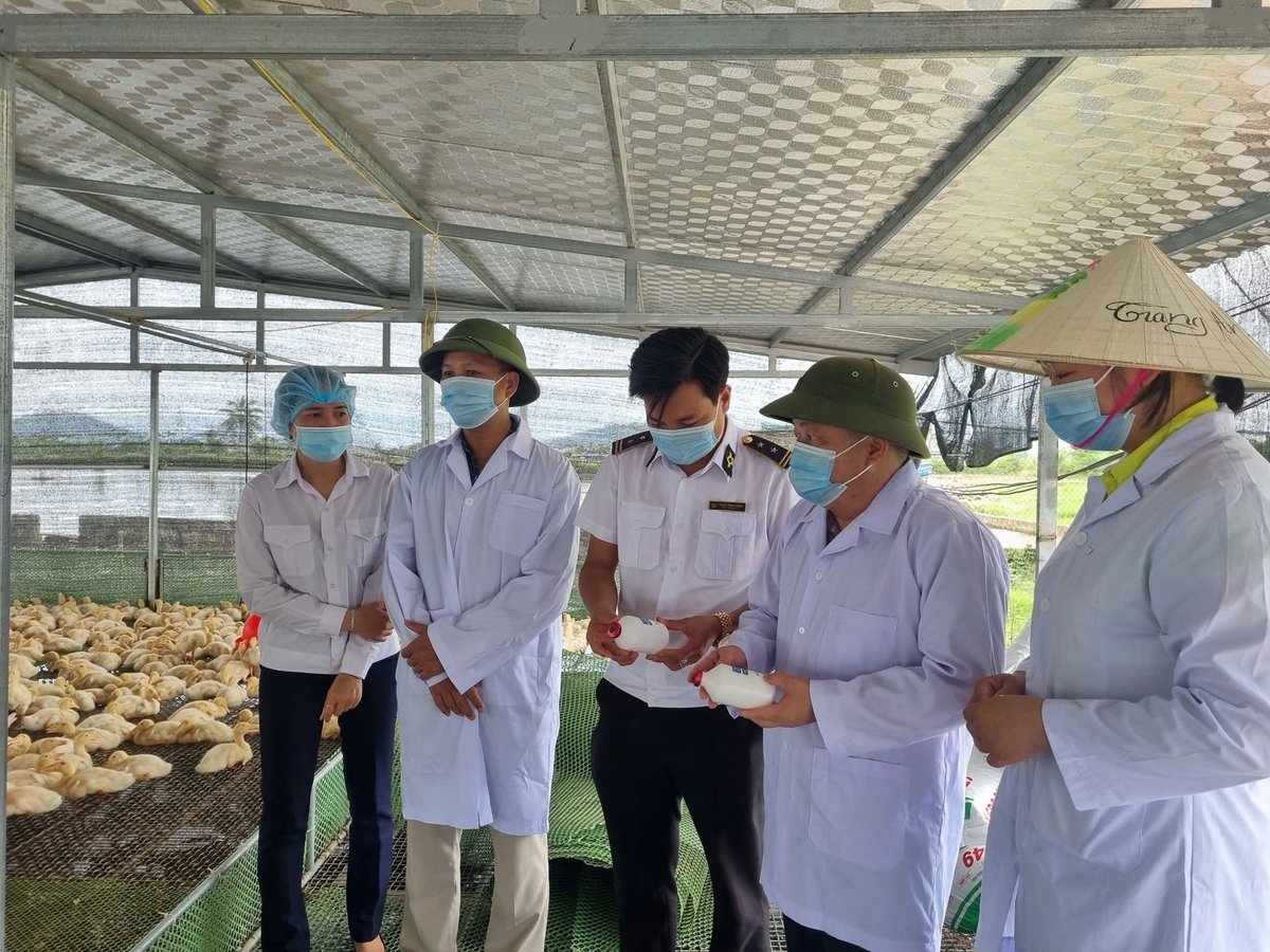 Việc kiểm soát tình hình dịch bệnh động vật được TP Hải Phòng thực hiện hiệu quả từ đầu năm 2025 đến nay. Ảnh: Đinh Mười.