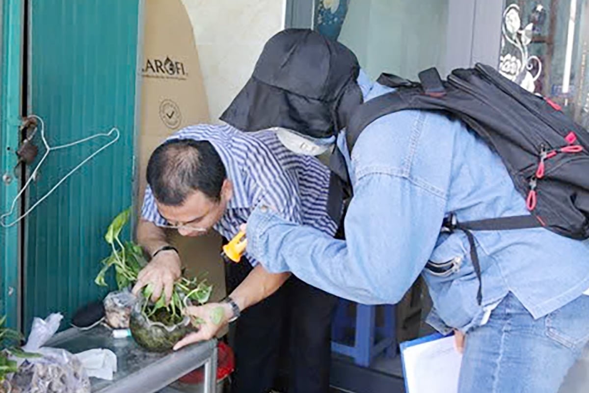 Cán bộ y tế phường Vũng Tàu giám sát điểm nguy cơ ổ dịch sốt xuất huyết. Ảnh: Sở Y tế TP.HCM.