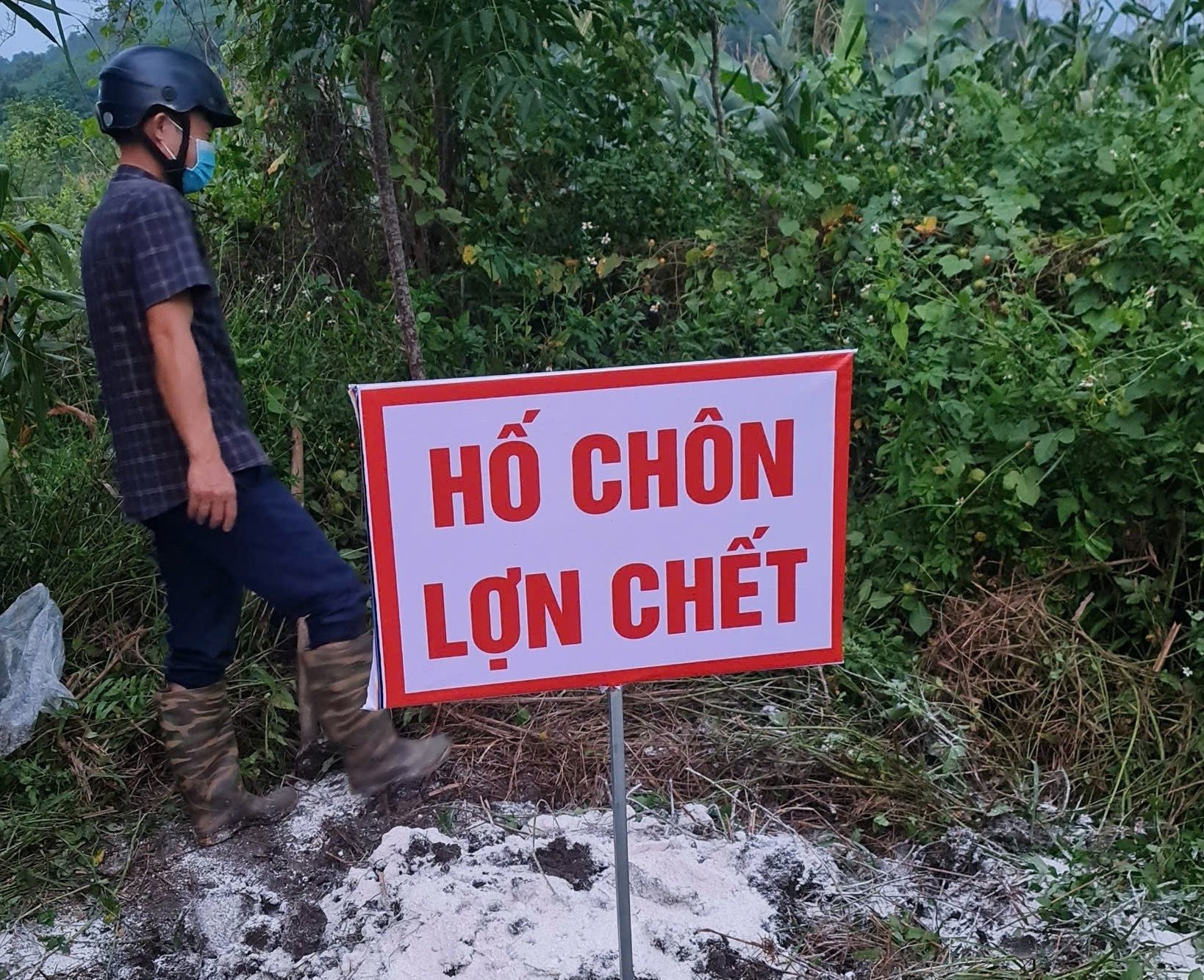 Hố chôn lợn bệnh được bố trí cách xa khu dân cư để đảm bảo an toàn dịch bệnh. Ảnh: Quốc Toản. Hố chôn lợn bệnh được bố trí cách xa khu dân cư để đảm bảo an toàn dịch bệnh. Ảnh: Quốc Toản.