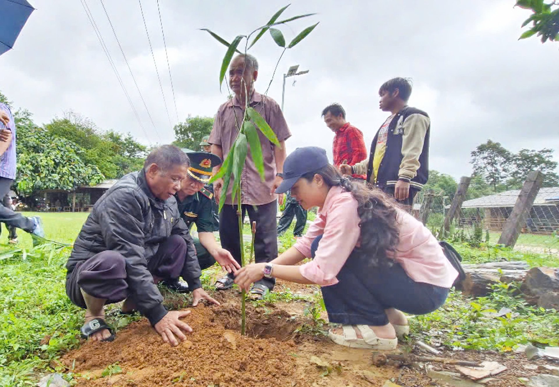 Cán bộ kỹ thuật Sở Nông nghiệp và Môi trường Quảng Trị hướng dẫn bà con kỹ thuật trồng và chăm sóc cây. Ảnh: H. Nam. Cán bộ kỹ thuật Sở Nông nghiệp và Môi trường Quảng Trị hướng dẫn bà con kỹ thuật trồng và chăm sóc cây. Ảnh: H. Nam.