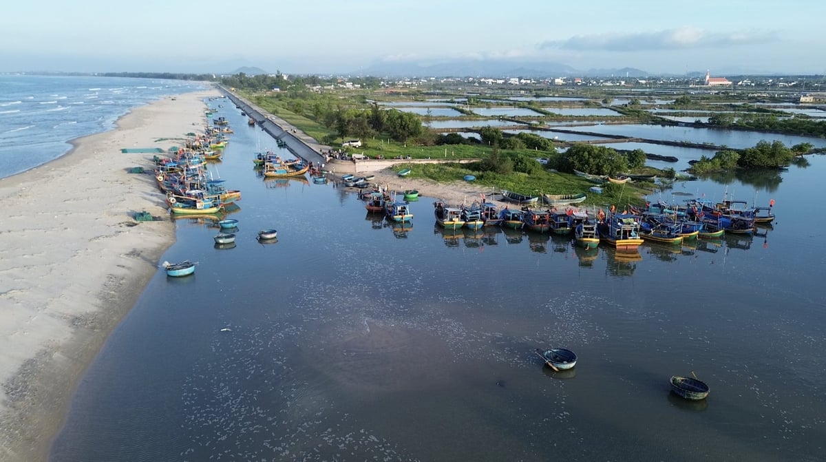 Nam Trung bộ là một trong những vùng biển có nguồn lợi thủy sản phong phú nhất cả nước. Ảnh: Quỳnh Chi. Nam Trung bộ là một trong những vùng biển có nguồn lợi thủy sản phong phú nhất cả nước. Ảnh: Quỳnh Chi.