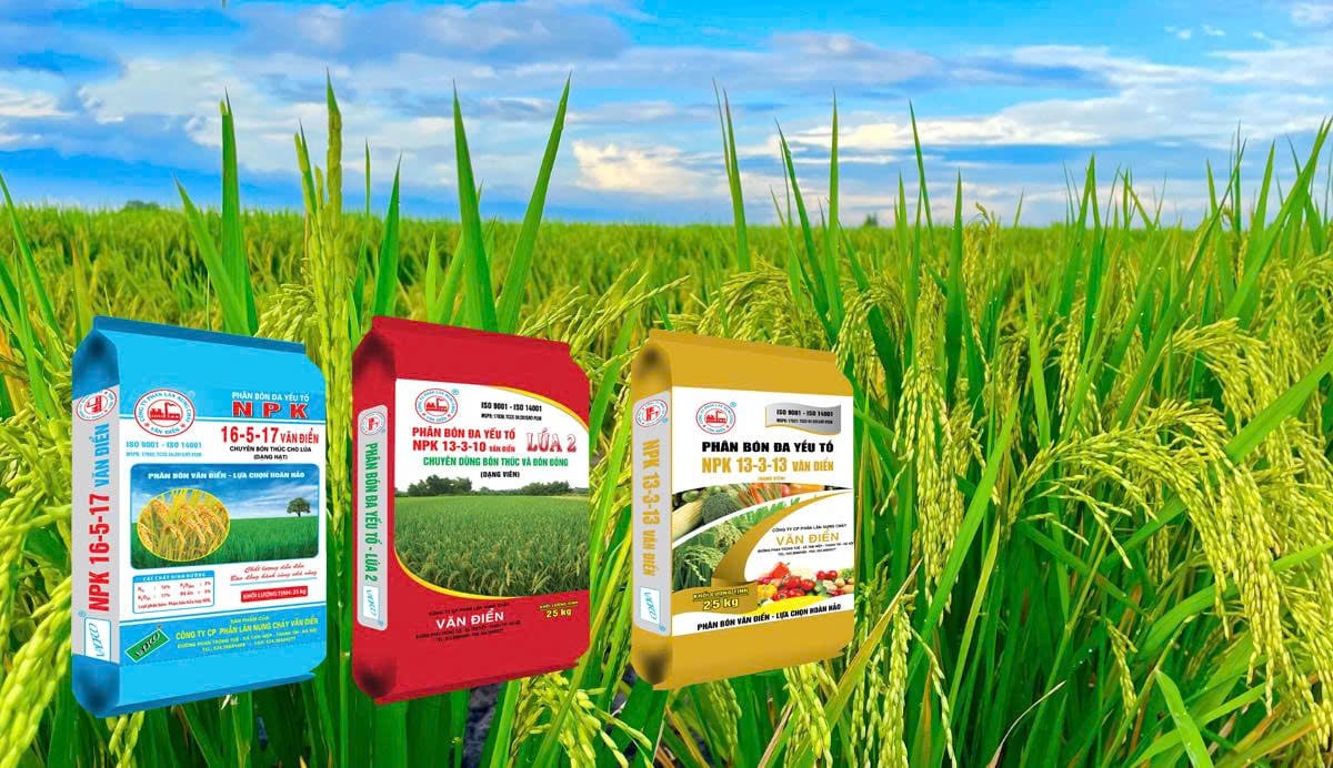 Phân đa yếu tố NPK Văn Điển giúp lúa vụ mùa giúp lúa khỏe, cứng cây, ít sâu bệnh, giảm công bón, tăng năng suất, chất lượng và an toàn cho người trồng. Phân đa yếu tố NPK Văn Điển giúp lúa vụ mùa giúp lúa khỏe, cứng cây, ít sâu bệnh, giảm công bón, tăng năng suất, chất lượng và an toàn cho người trồng.
