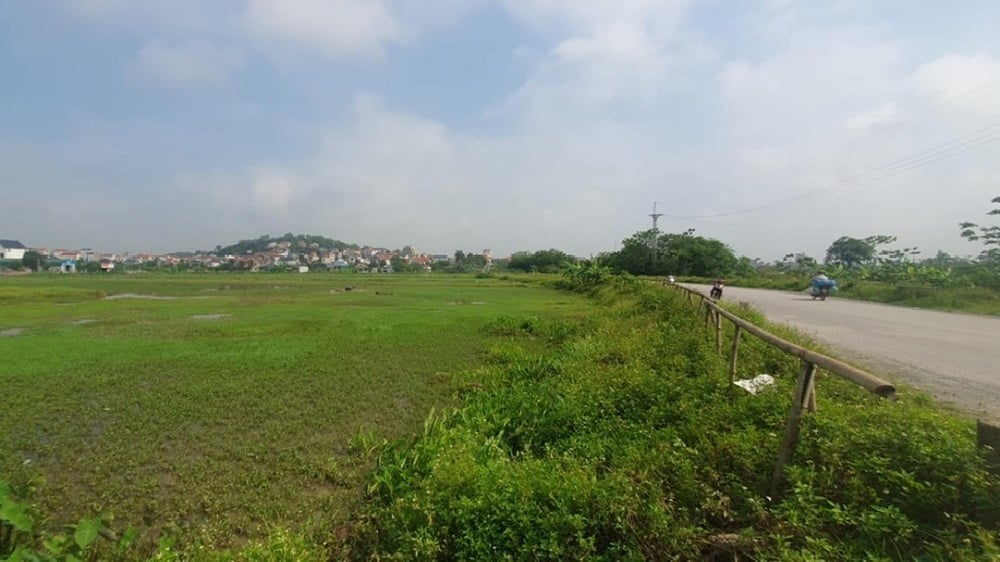 Cụm công nghiệp làng nghề Tân Hòa hiện vẫn là ruộng canh tác của người dân, chưa biết bao giờ mới được triển khai thực hiện. Ảnh: QD.