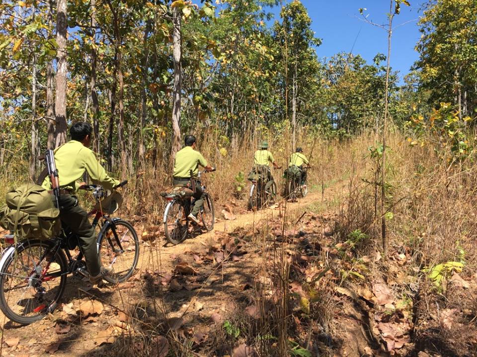 Forest patrol by bicycle.