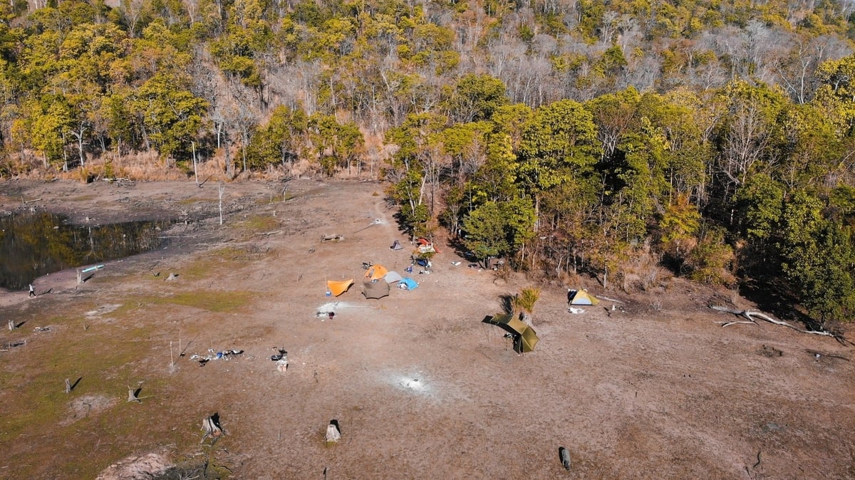 Yok Don National Park is managing nearly 111,000 hectares of natural forest.