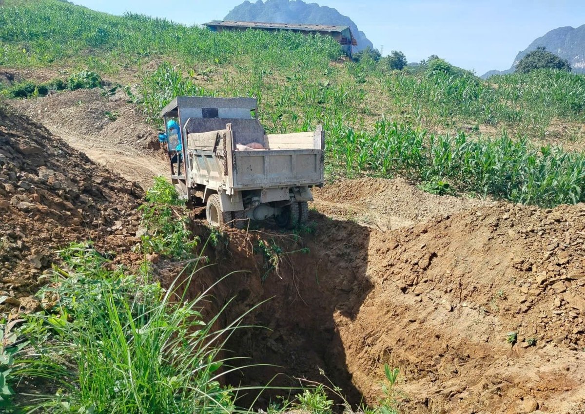 Tiêu hủy lợn bị dịch tả lợn Châu Phi ở tỉnh Phú Thọ. Ảnh: Bảo Khang. Tiêu hủy lợn bị dịch tả lợn Châu Phi ở tỉnh Phú Thọ. Ảnh: Bảo Khang.