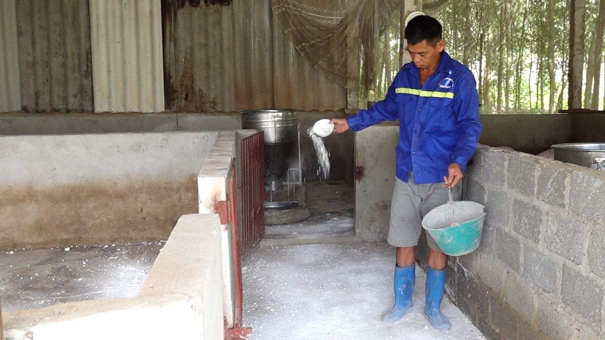 Người dân được cơ quan chuyên môn khuyến cáo tăng cường tiêu độc khử trùng chuồng trại. Ảnh: Quang Linh. Người dân được cơ quan chuyên môn khuyến cáo tăng cường tiêu độc khử trùng chuồng trại. Ảnh: Quang Linh.
