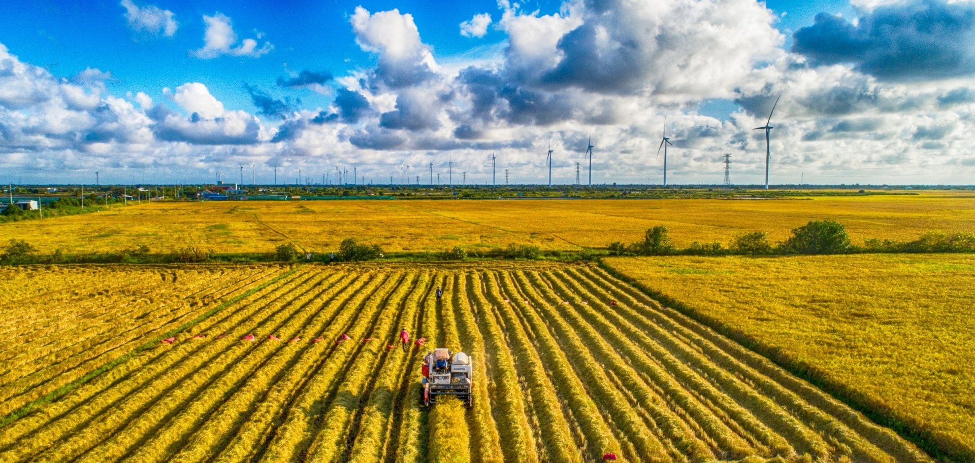 Ưu tiên hoàn thiện hệ thống tiêu chuẩn kỹ thuật và MRV cho trồng trọt. Ảnh: Hồng Thắm. Ưu tiên hoàn thiện hệ thống tiêu chuẩn kỹ thuật và MRV cho trồng trọt. Ảnh: Hồng Thắm.