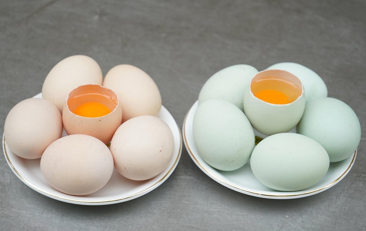 Sản phẩm trứng của loại gà này (bên phải) cũng được đánh giá thơm ngon, bổ dưỡng và hỗ trợ tăng cường miễn dịch, ngăn ngừa tổn thương tế bào. Ảnh: Lê Bình. Sản phẩm trứng của loại gà này (bên phải) cũng được đánh giá thơm ngon, bổ dưỡng và hỗ trợ tăng cường miễn dịch, ngăn ngừa tổn thương tế bào. Ảnh: Lê Bình.