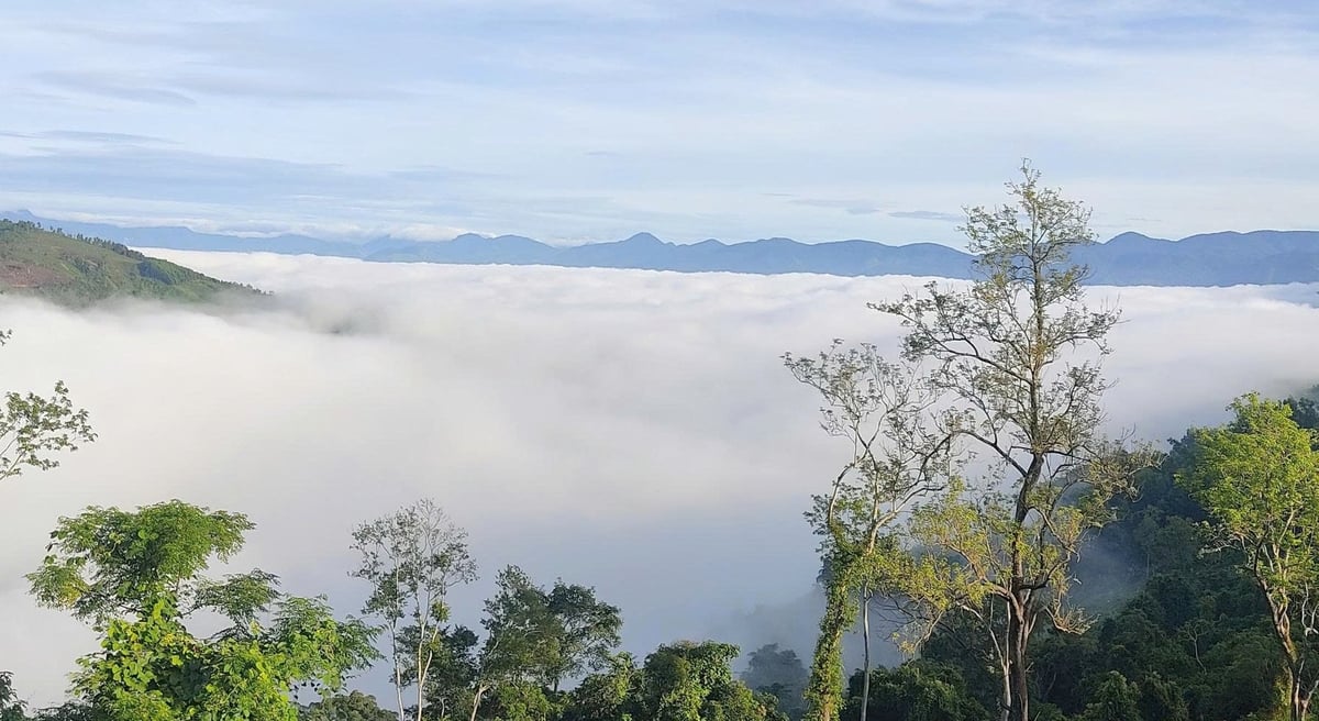 Nhiều điểm tại rừng phòng hộ Cam Lâm – Cam Ranh – Khánh Sơn có cảnh sắc tuyệt đẹp phù hợp để phát triển du lịch sinh thái. Ảnh: Kim Sơ. Nhiều điểm tại rừng phòng hộ Cam Lâm – Cam Ranh – Khánh Sơn có cảnh sắc tuyệt đẹp phù hợp để phát triển du lịch sinh thái. Ảnh: Kim Sơ.
