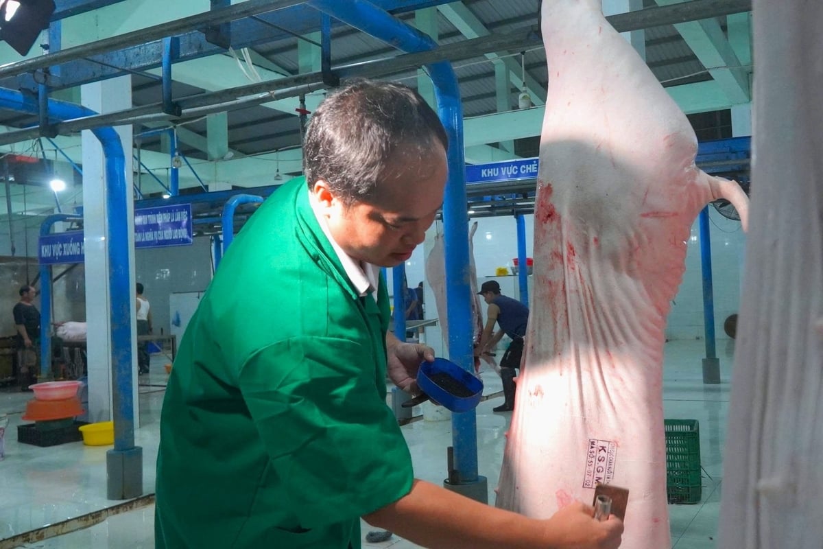Bên cạnh phòng chống dịch bệnh, lực lượng thú y cơ sở cũng trực tiếp tham gia công tác kiểm soát giết mổ, kiểm dịch sản phẩm động vật. Ảnh: Văn Vũ. Bên cạnh phòng chống dịch bệnh, lực lượng thú y cơ sở cũng trực tiếp tham gia công tác kiểm soát giết mổ, kiểm dịch sản phẩm động vật. Ảnh: Văn Vũ.