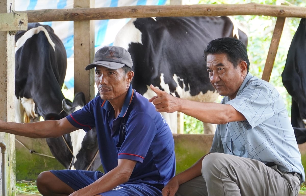 Lực lượng thú y cơ sở thường xuyên có mặt hỗ trợ, hướng dẫn kỹ thuật cho người chăn nuôi. Ảnh: Kim Anh. Lực lượng thú y cơ sở thường xuyên có mặt hỗ trợ, hướng dẫn kỹ thuật cho người chăn nuôi. Ảnh: Kim Anh.