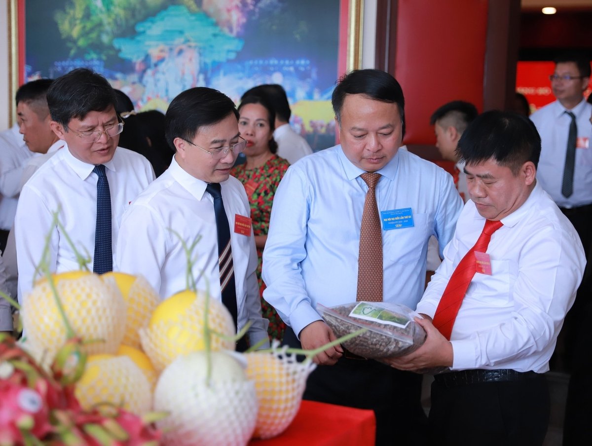 Nhiệm kỳ 2020 - 2025, ngành Nông nghiệp và Môi trường Tuyên Quang đã đạt được nhiều thành tựu nổi bật trong lĩnh vực nông nghiệp, nông thôn, tài nguyên và môi trường. Ảnh: Đào Thanh. Nhiệm kỳ 2020 - 2025, ngành Nông nghiệp và Môi trường Tuyên Quang đã đạt được nhiều thành tựu nổi bật trong lĩnh vực nông nghiệp, nông thôn, tài nguyên và môi trường. Ảnh: Đào Thanh.