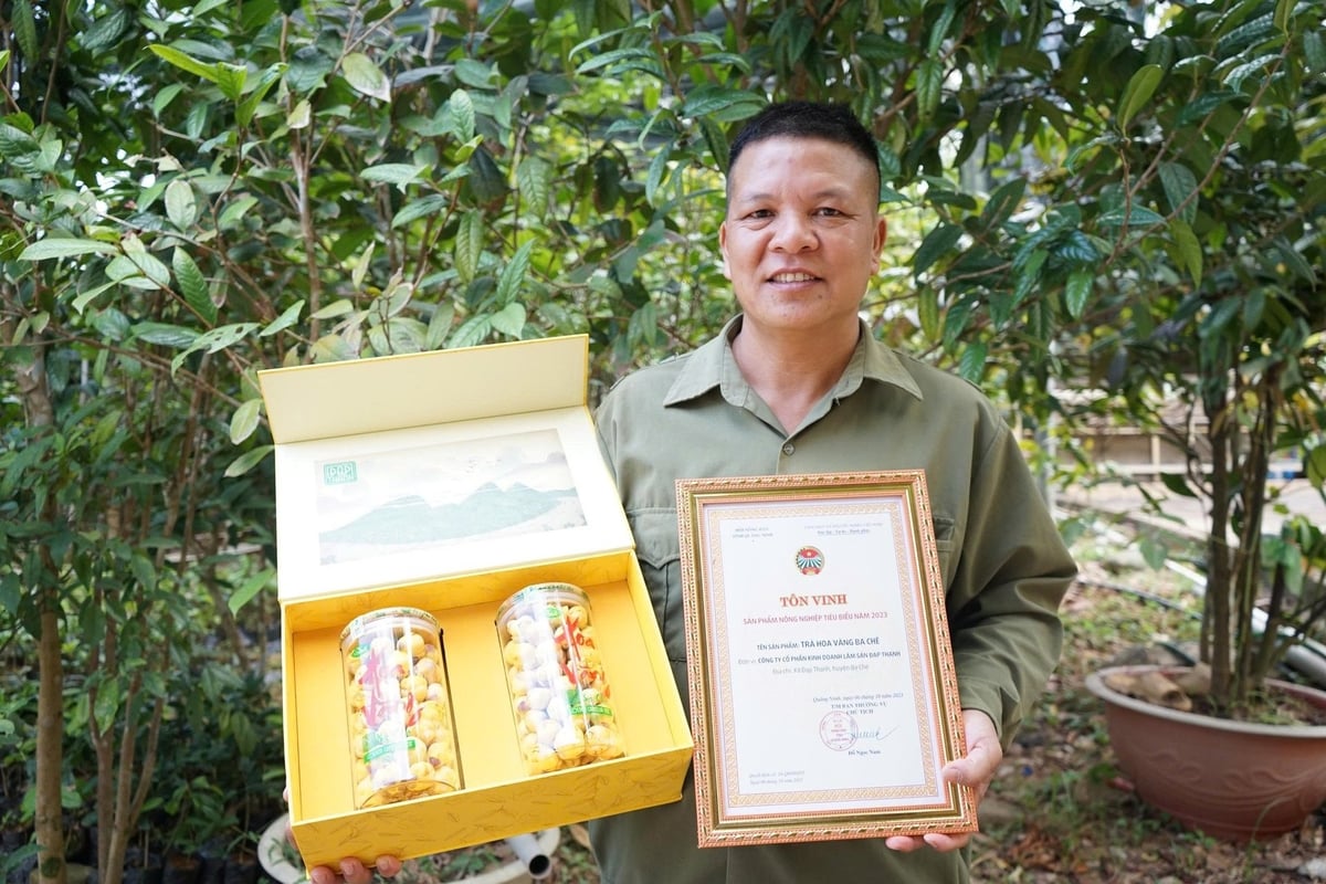 Trà hoa vàng Ba Chẽ được công nhận là sản phẩm OCOP 5 sao cấp quốc gia. Ảnh: Nguyễn Thành. Trà hoa vàng Ba Chẽ được công nhận là sản phẩm OCOP 5 sao cấp quốc gia. Ảnh: Nguyễn Thành.