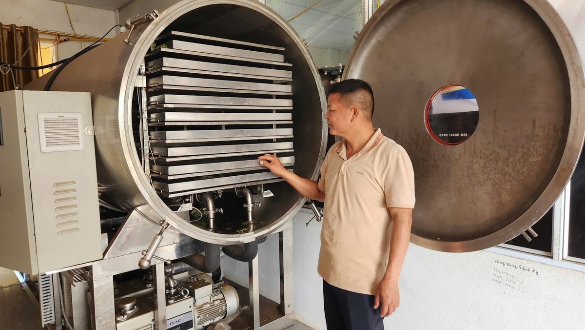 Ông Nịnh Văn Trắng sử dụng công nghệ sấy thăng hoa để tăng chất lượng sản phẩm. Ảnh: Nguyễn Thành. Ông Nịnh Văn Trắng sử dụng công nghệ sấy thăng hoa để tăng chất lượng sản phẩm. Ảnh: Nguyễn Thành.