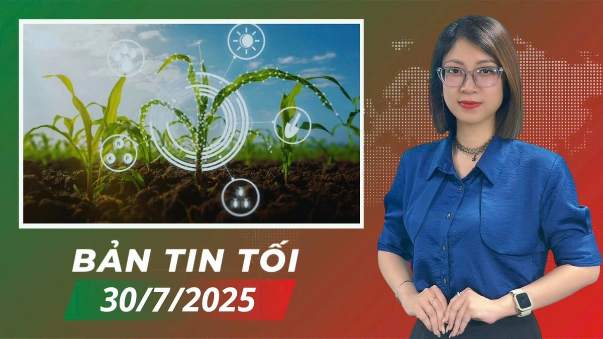 anh