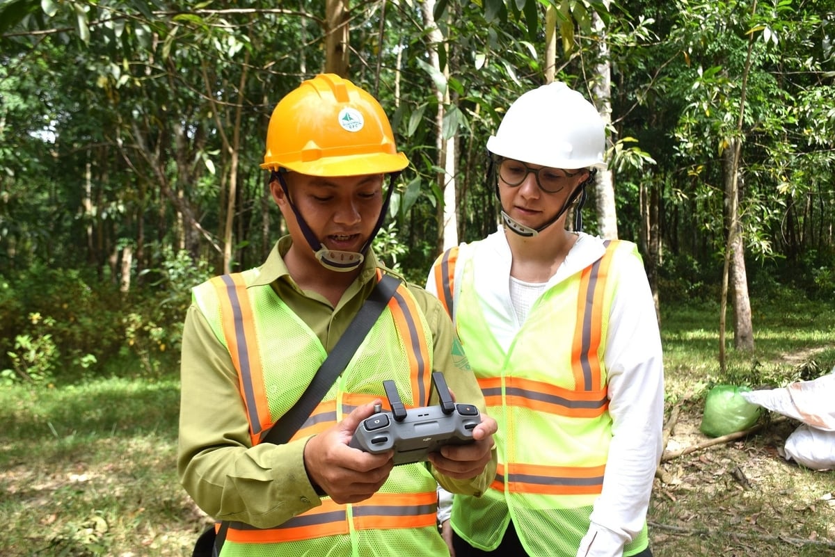 Anh Nguyễn Văn Mỹ, nhân viên Phòng Kỹ thuật thuộc Công ty TNHH Lâm nghiệp Quy Nhơn và bà Carina van Weelden đang thao tác thiết bị drone. Ảnh: V.Đ.T.