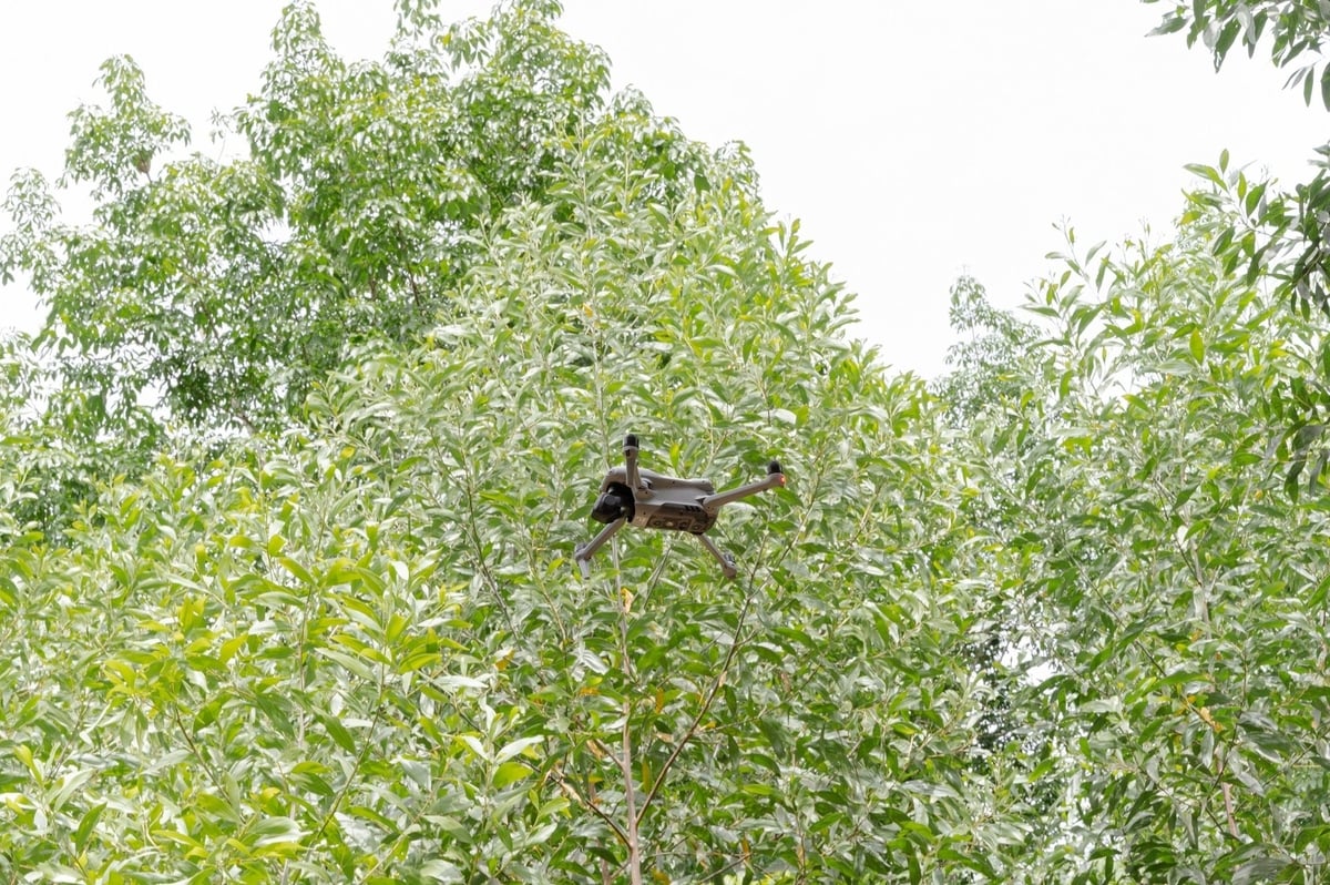 Chiếc drone của Công ty TNHH Lâm nghiệp Quy Nhơn đang làm nhiệm vụ. Ảnh: GIZ.