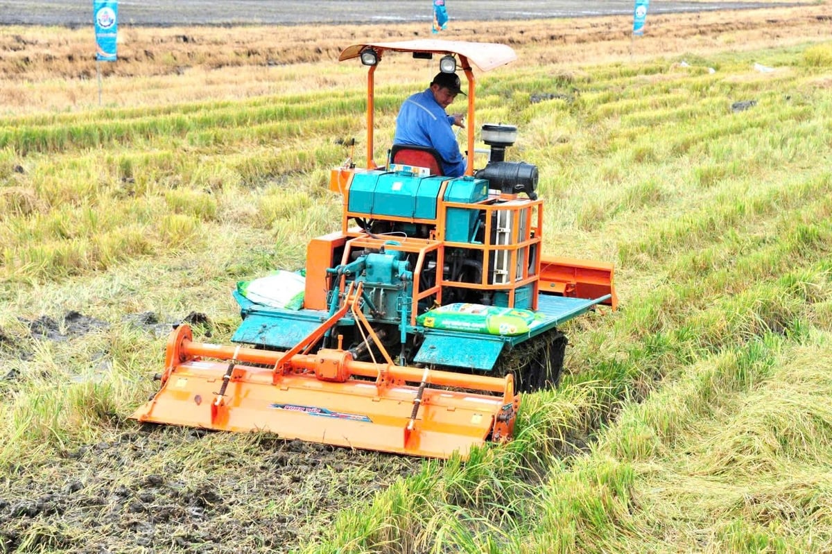 Sử dụng Đầu Trâu Bio-Canxi giúp nông dân bỏ dần thói quen đốt đồng độc hại, giảm phát thải khí nhà kính. Ảnh: Thế Huy. Sử dụng Đầu Trâu Bio-Canxi giúp nông dân bỏ dần thói quen đốt đồng độc hại, giảm phát thải khí nhà kính. Ảnh: Thế Huy.