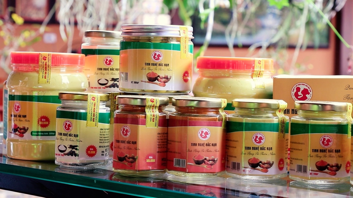 Nhiều hợp tác xã tại Thái Nguyên phát triển các dòng sản phẩm chế biến từ củ nghệ vàng. Ảnh: Sơn Lâm.