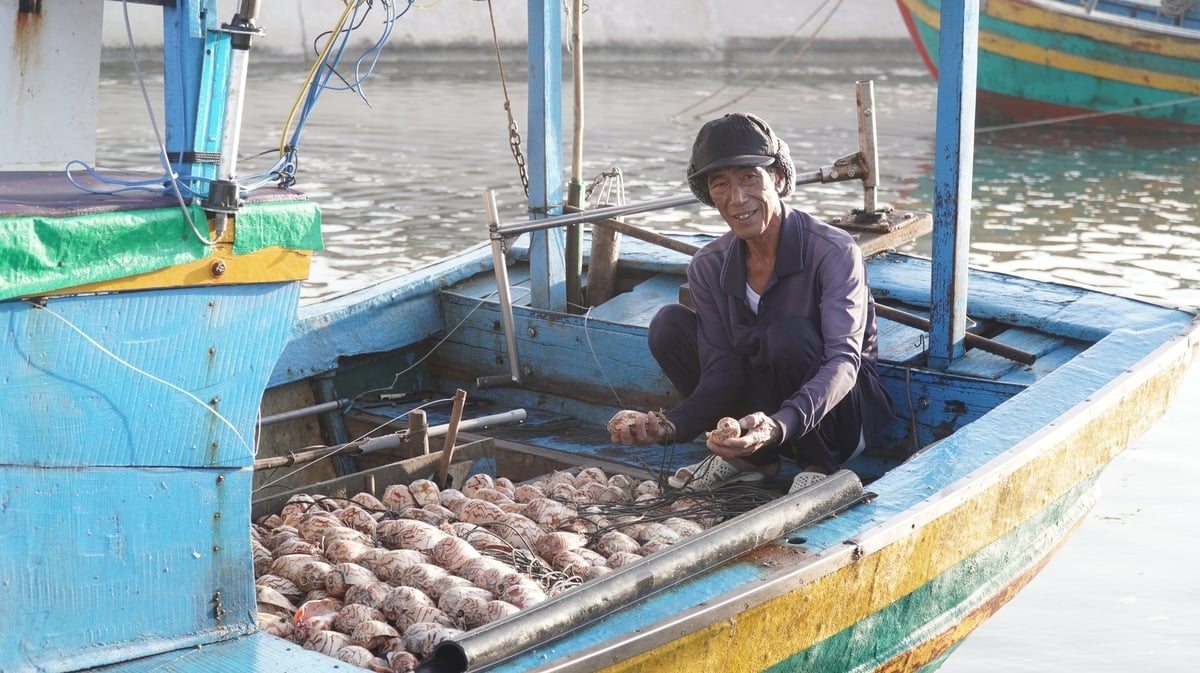 Ngư dân Võ Viết Tuấn - thành viên Hội cộng đồng ngư dân Tân Thuận trở về sau một đêm ra khơi đánh cá. Ảnh: Trần Phi. Ngư dân Võ Viết Tuấn - thành viên Hội cộng đồng ngư dân Tân Thuận trở về sau một đêm ra khơi đánh cá. Ảnh: Trần Phi.