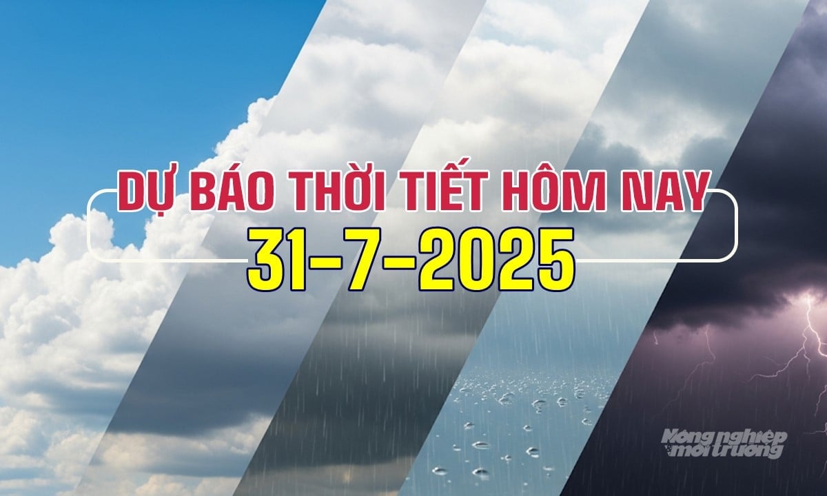 Tin tức thời tiết hôm nay 31/7/2025 trong cả nước Tin tức thời tiết hôm nay 31/7/2025 trong cả nước