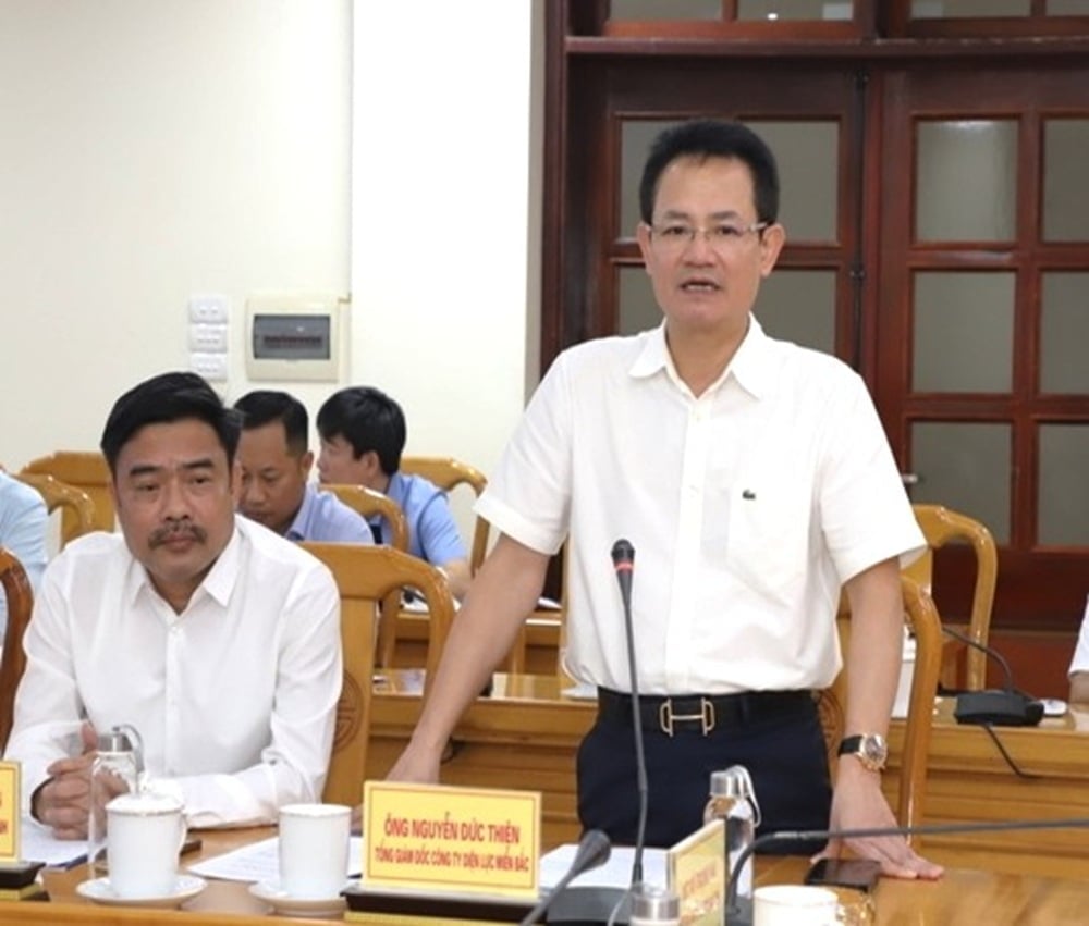 Ông Nguyễn Đức Thiện - Tổng Giám đốc EVNNPC thông tin về các dự án đầu tư lưới điện trên địa bàn, đề xuất các giải pháp tháo gỡ một số khó khăn, vướng mắc và mong muốn tỉnh Hà Tĩnh tiếp tục tạo điều kiện, hỗ trợ, phối hợp chặt chẽ với EVNNPC. Ảnh: EVNNPC.