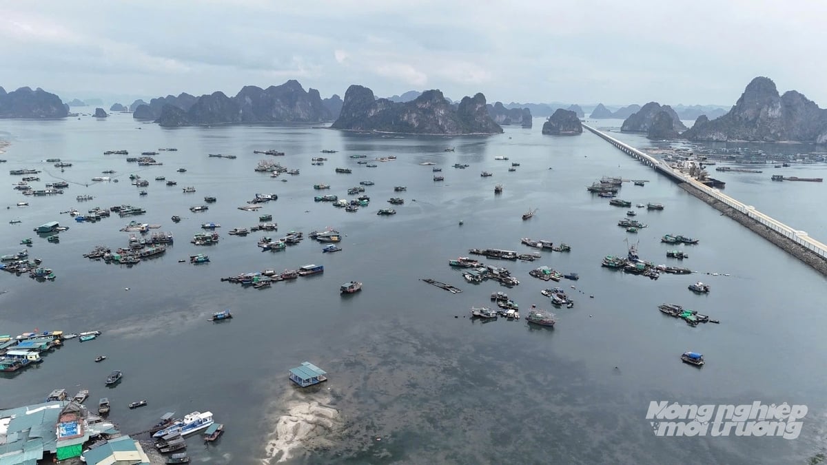 Việc triển khai hệ thống thiết bị cảnh báo sớm trên vịnh Hạ Long, vịnh Bái Tử Long và ven biển có ý nghĩa quan trọng trong việc đảm bảo an toàn du lịch nói riêng và phát triển kinh tế - xã hội. Ảnh: Cường Vũ. Việc triển khai hệ thống thiết bị cảnh báo sớm trên vịnh Hạ Long, vịnh Bái Tử Long và ven biển có ý nghĩa quan trọng trong việc đảm bảo an toàn du lịch nói riêng và phát triển kinh tế - xã hội. Ảnh: Cường Vũ.