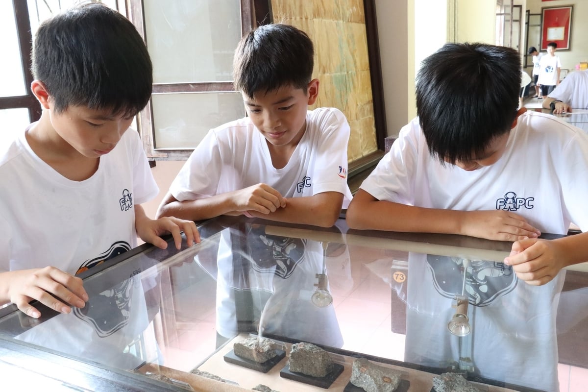 Tầng 3 của Bảo tàng đưa học sinh bước vào thế giới cổ sinh học với điểm nhấn là các mẫu hóa thạch khủng long, cùng nhiều mẫu vật sinh động như thân cây hóa thạch và các loài sinh vật cổ đại khác. Ảnh: Lan Chi.