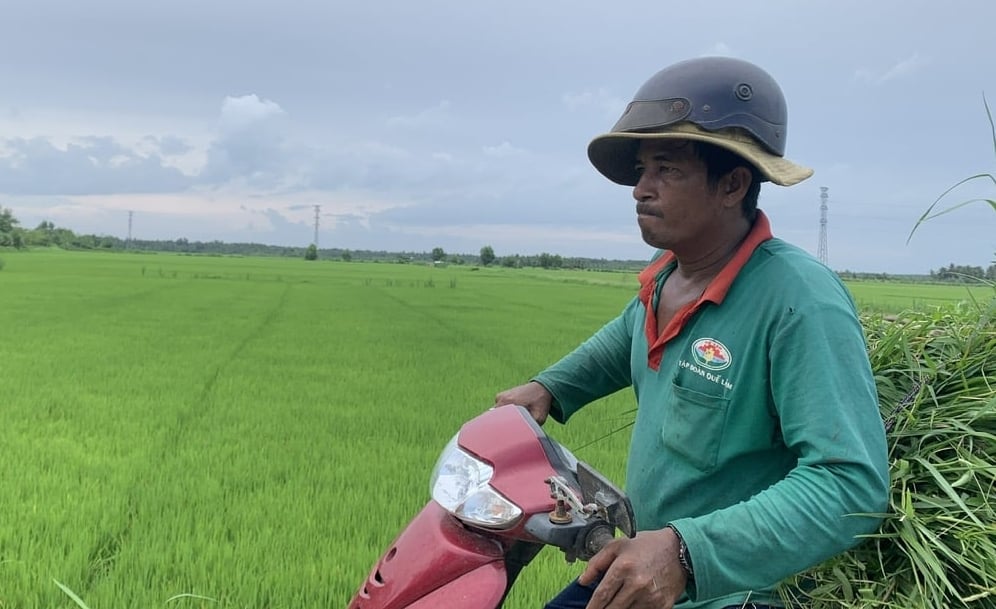 Nhờ có đồng cỏ xanh tốt quanh năm và phụ phẩm nông nghiệp dồi dào, hơn 1.000 hộ dân ở xã Long Hiệp đã phát triển chăn nuôi bò, qua đó tăng thu nhập và cải thiện đời sống gia đình. Ảnh: Hồ Thảo. Nhờ có đồng cỏ xanh tốt quanh năm và phụ phẩm nông nghiệp dồi dào, hơn 1.000 hộ dân ở xã Long Hiệp đã phát triển chăn nuôi bò, qua đó tăng thu nhập và cải thiện đời sống gia đình. Ảnh: Hồ Thảo.